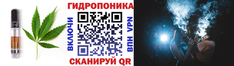 Купить  Тотьма  Canna-Cookies конопля 