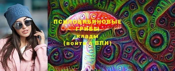 трава Карпинск