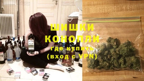 соль ск Касимов