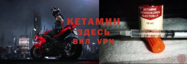 трава Карпинск