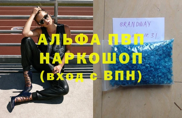 трава Карпинск