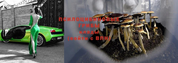 трава Карпинск